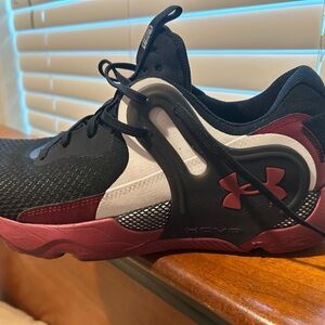 Under Armour HOVR Havoc 4 Clone “South Carolina Gamecocks” PE (Player Edition)